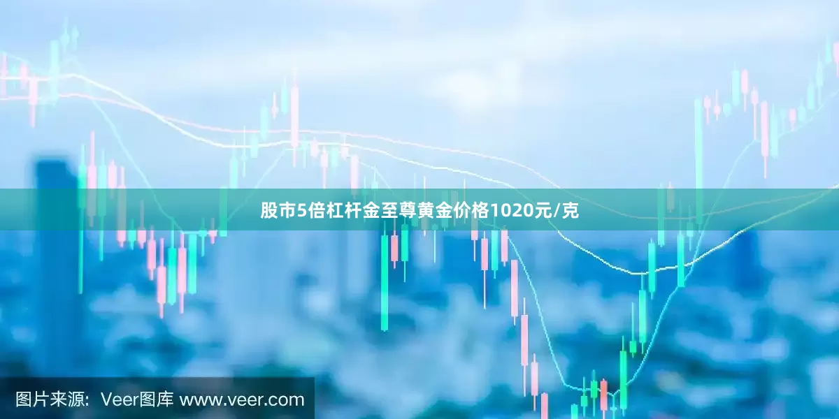 股市5倍杠杆金至尊黄金价格1020元/克